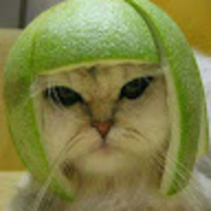 Meet your Posher, Jessie